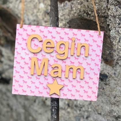 Wooden 'Cegin Mam' Sign