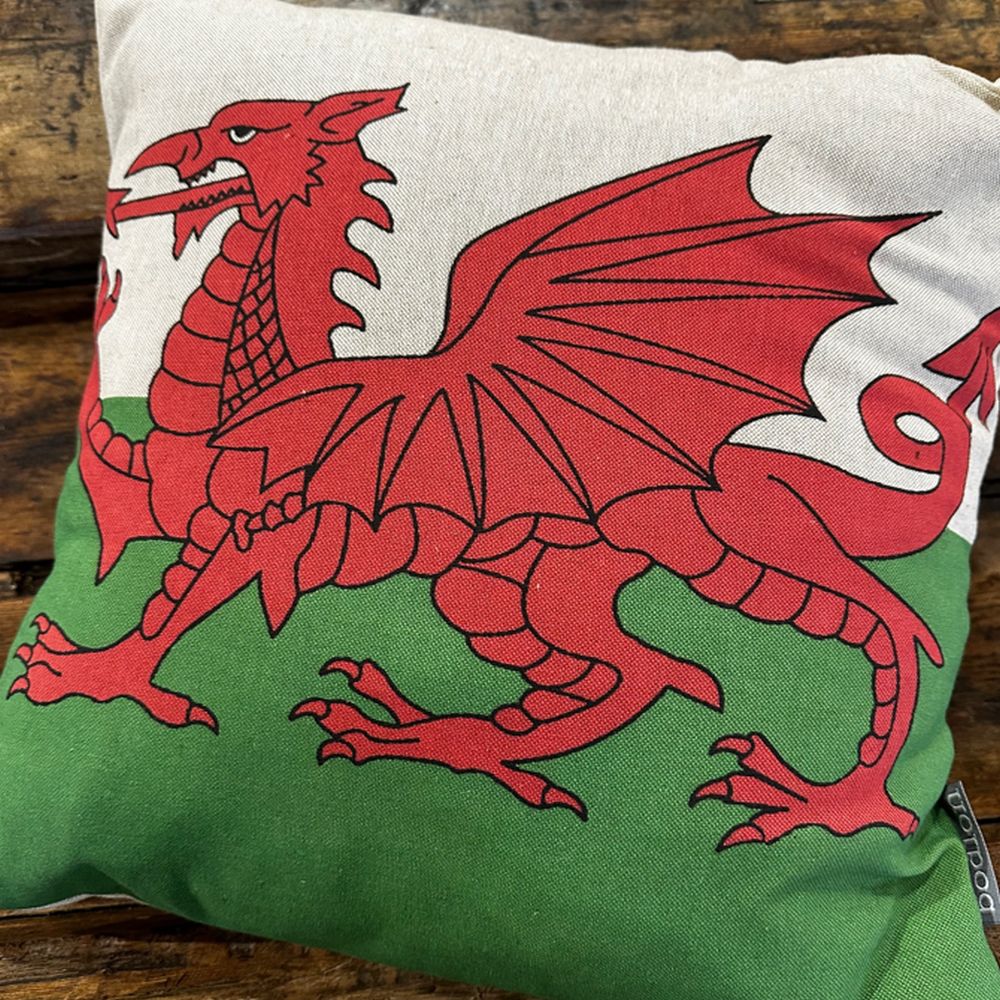 Red Dragon Cushion